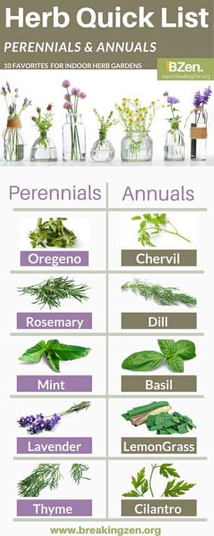 Indoor Herb Garden. 10 Best Herbs