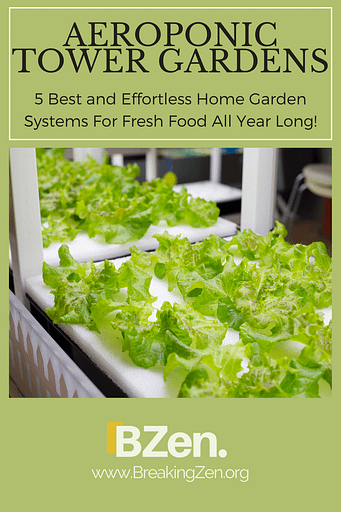Aeroponic Tower Systems 5 Best