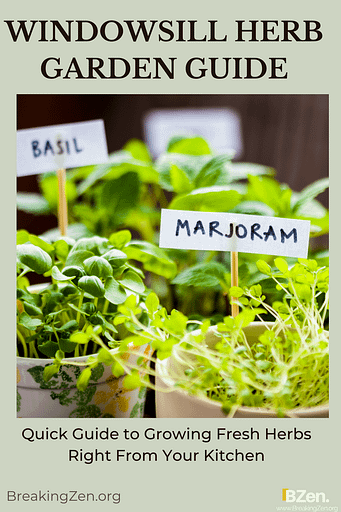 Windowsill herb Garden