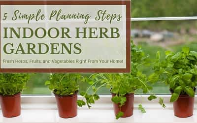 5 Simple Considerations When Planning an Indoor Tower Garden
