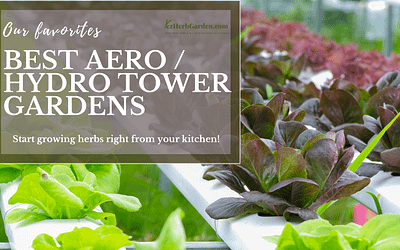 Best Aeroponic Tower Gardens: Guaranteed Fresh Food All Year