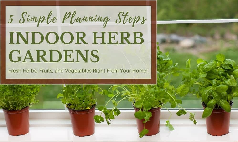 5 Simple Considerations When Planning an Indoor Tower Garden