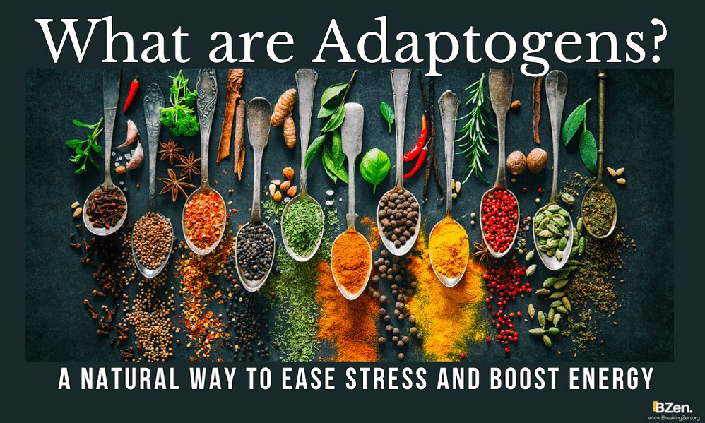 What are Adaptogens? A Natural Way To Ease Stress and Boost Energy