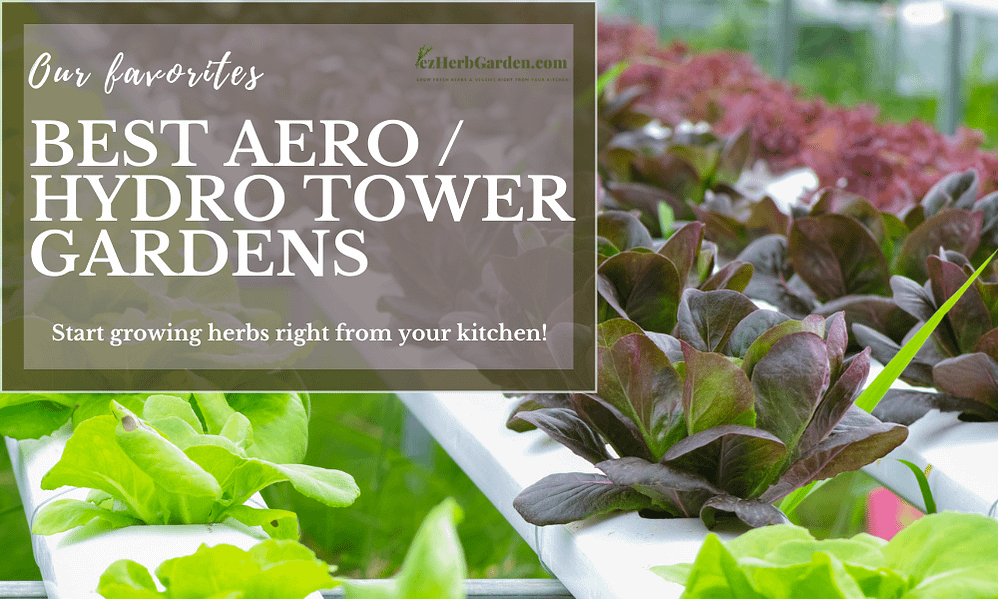 Best Aeroponic Tower Gardens: Guaranteed Fresh Food All Year
