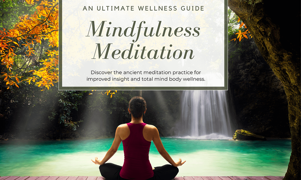 Mindful Wellness: The Only Guide You Need to Renew Your Mind