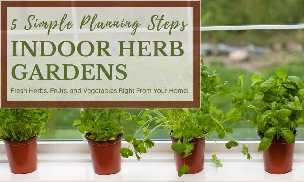 Planning An Indoor Tower Garden, How To Start A Simple Herb Garden